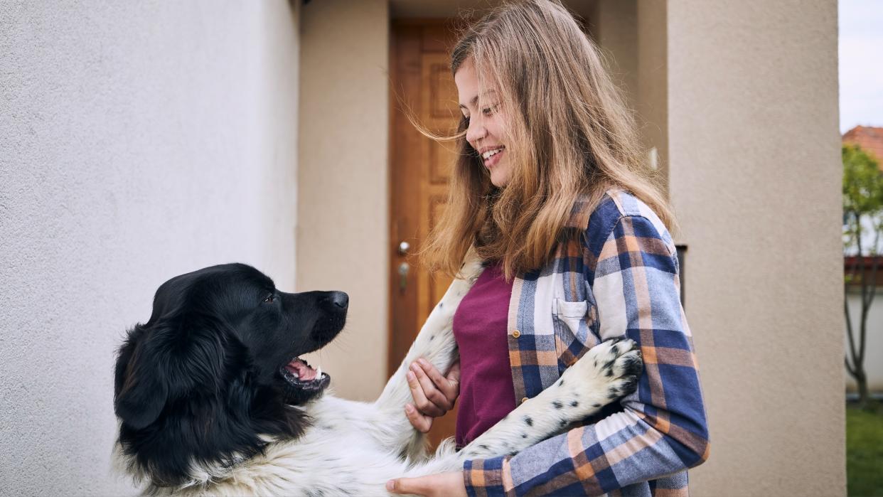  Dog jumping up on young woman. 