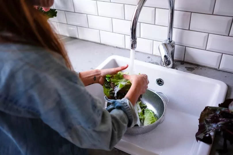 Washing lettuce