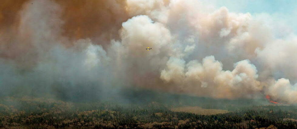 Les incendies font rage depuis plusieurs semaines au Canada.  - Credit:HANDOUT / Nova Scotia Government / AFP