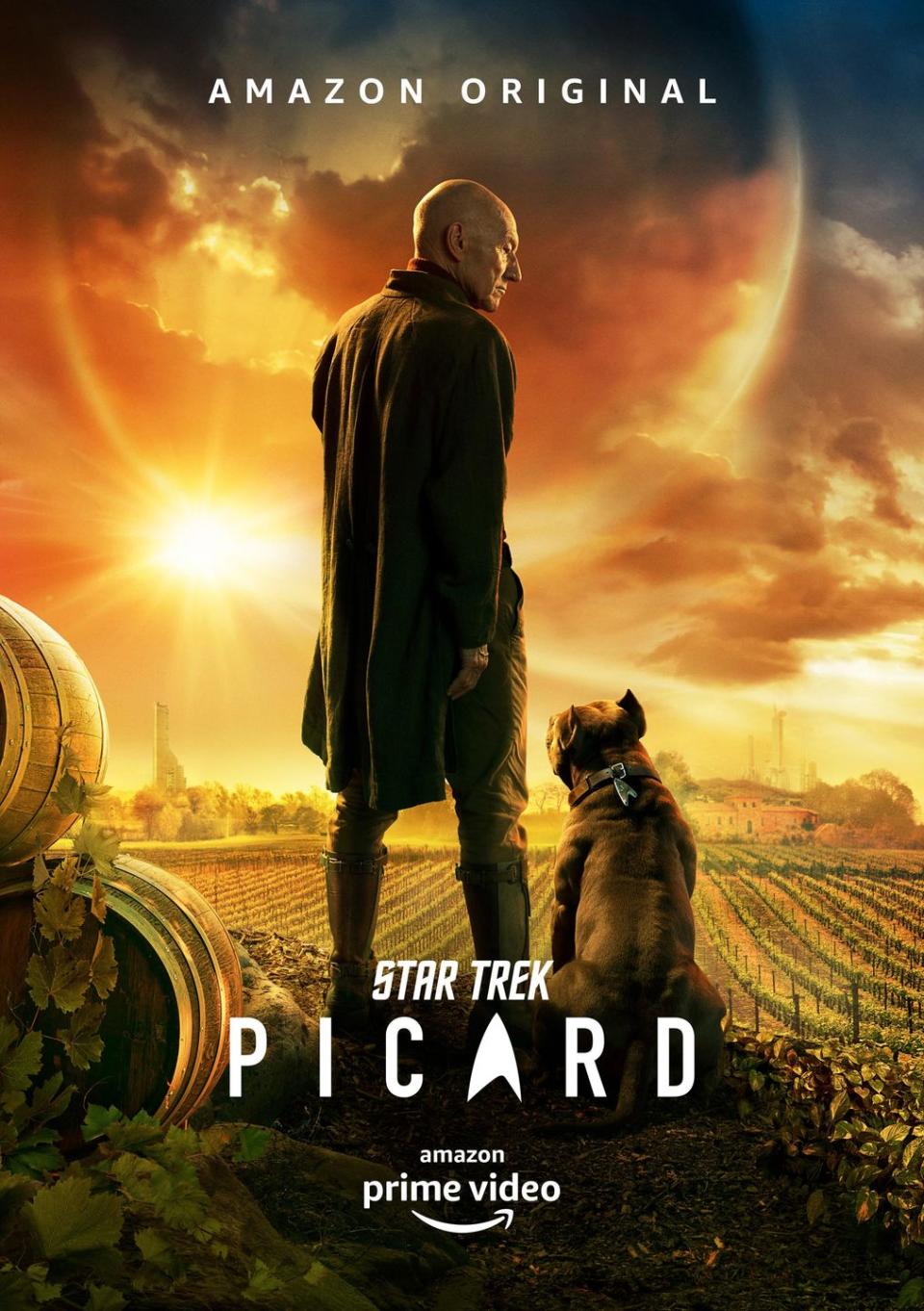 star trek picard poster