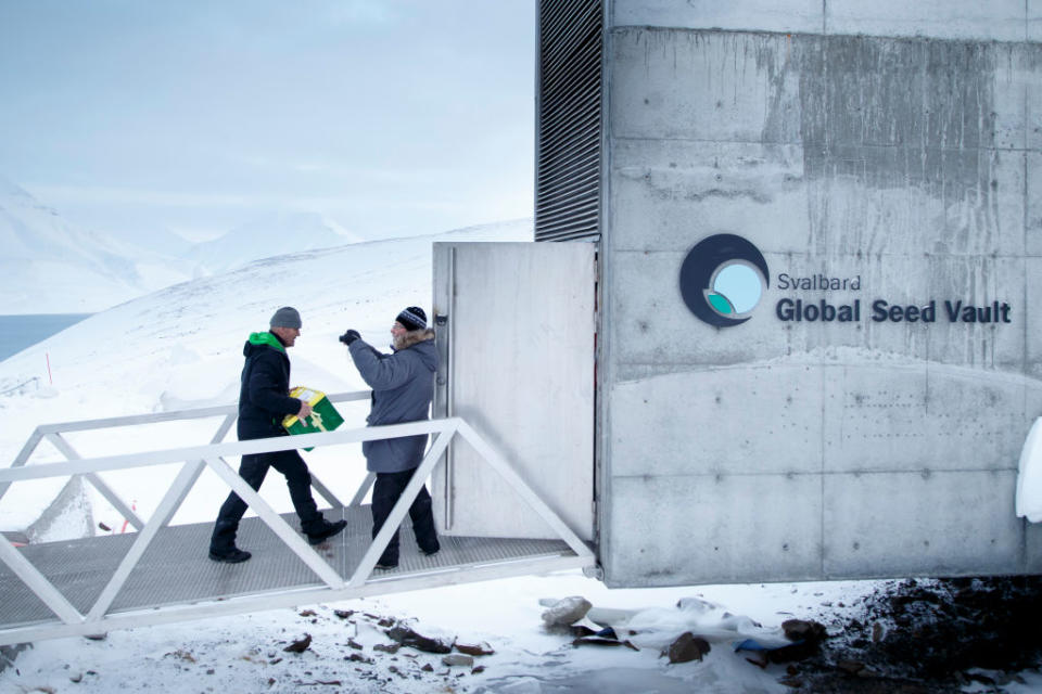 A man carries a box containing seeds from Japan and USA into the international gene bank Svalbard Global Seed Vault.