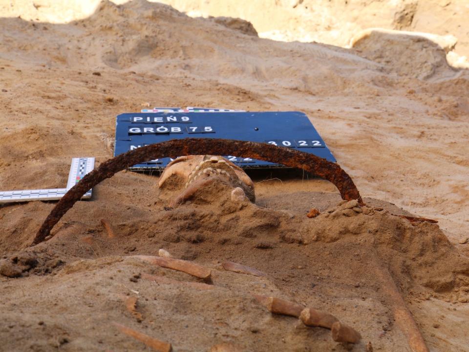 Remains shown in situ, the blade is clearly visible in the photo.