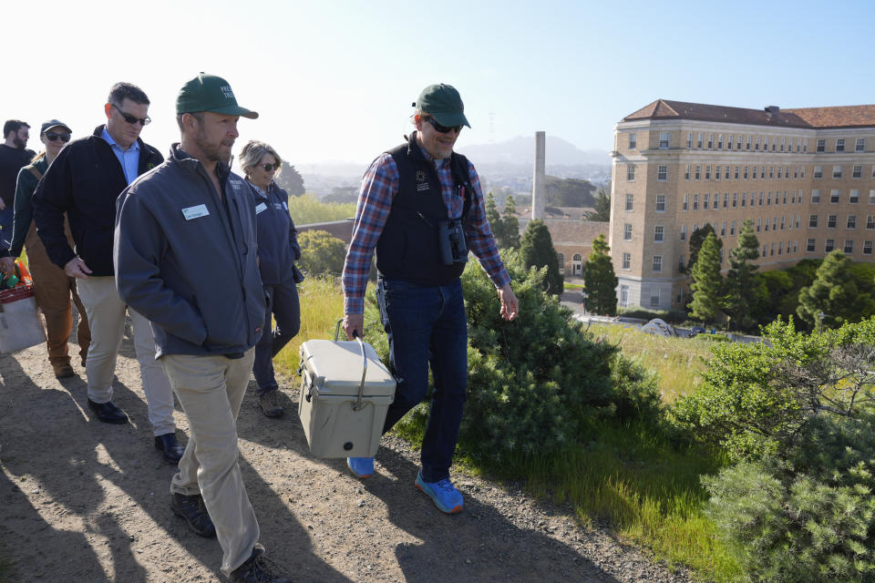 Durrell Kapan, right, Lead Researcher of Entomology with the California Academy of Sciences, walks with Lew Stringer, of The Presidio Trust to release silvery blue butterflies, the closest relative to the extinct Xerces blue butterfly, in the Presidio's restored dune habitat in San Francisco, Thursday, April 11, 2024. (AP Photo/Eric Risberg)