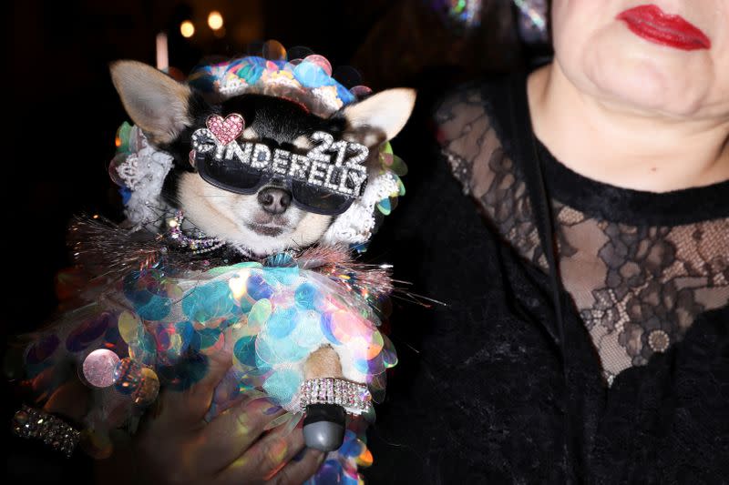 A woman holds a dog at the 17th annual New York Pet Fashion Show