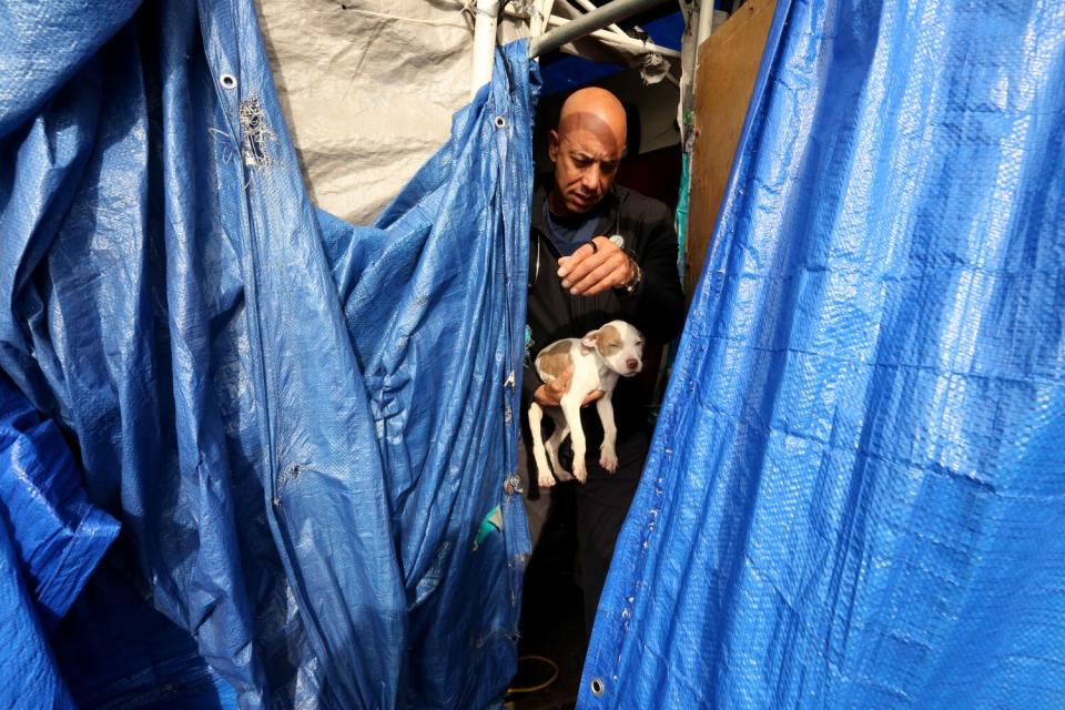 A man is seen emerging from between two damaged tarps carrying a puppy.