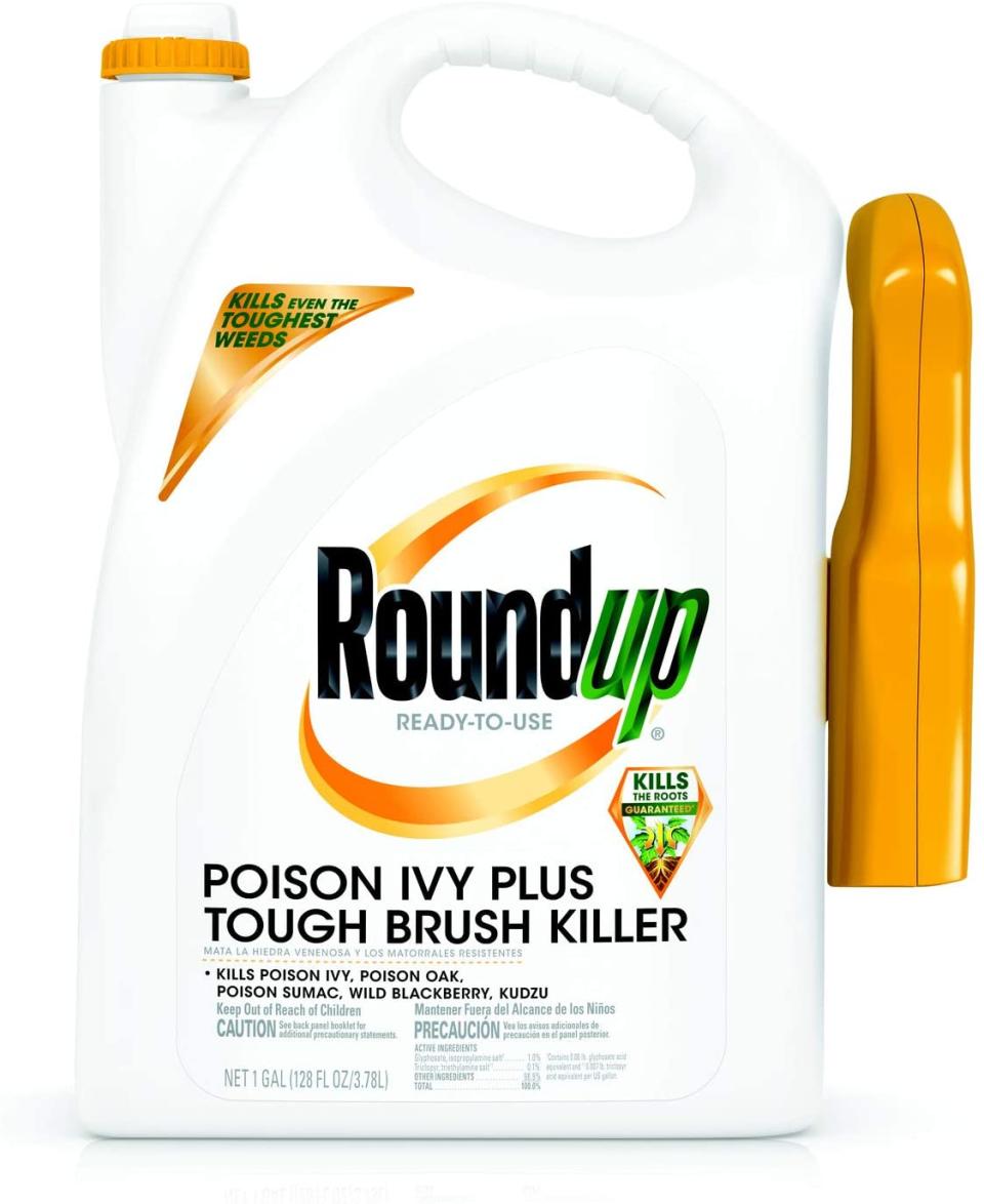 how to get rid of poison ivy roundup