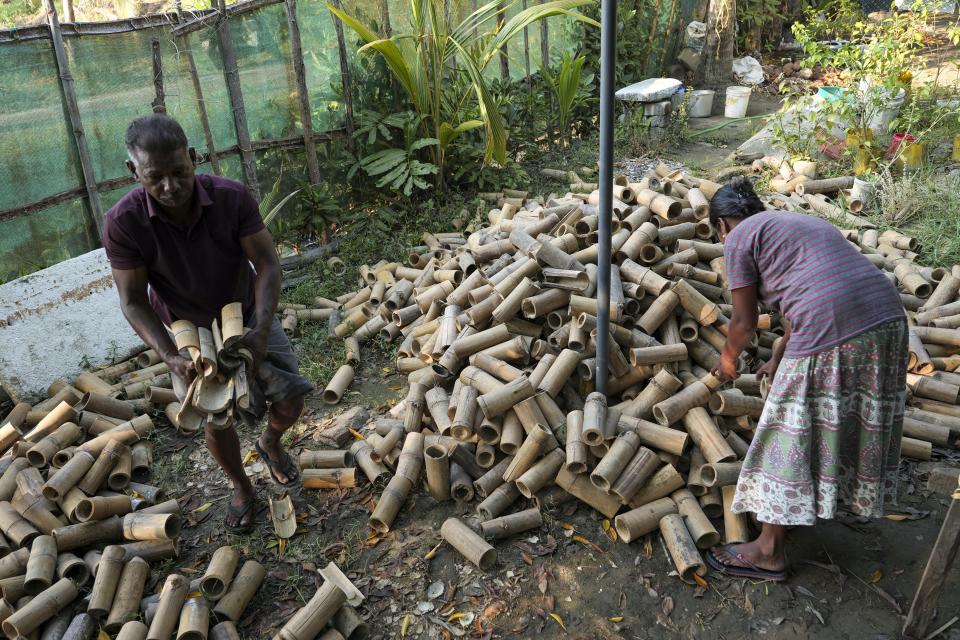 Murukesan and daughter Nimitha Manoj pick bamboo pieces from their home nursery for mangrove saplings to be planted on Vypin Island in Kochi, Kerala state, India, on March 4, 2023. Known locally as Mangrove Man, Murukesan has turned to planting the trees along the shores to counter the impacts of rising waters on his home. (AP Photo/Shawn Sebastian)