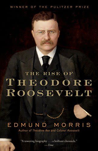 17) <em>The Rise of Theodore Roosevelt</em>, by Edmund Morris
