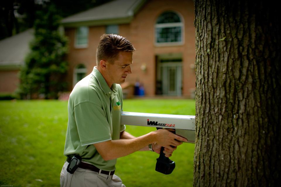 This undated publicity photo provided by SavATree shows an arborist using a resistograph to detect tree decay, which can help determine a tree’s stability. (AP Photo/SavATree)