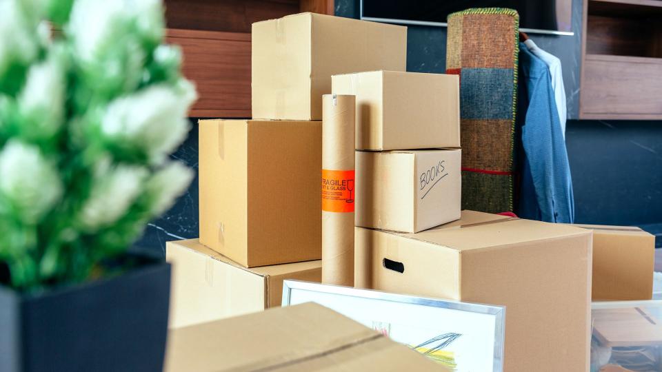 Moving with stacked boxes and plant.