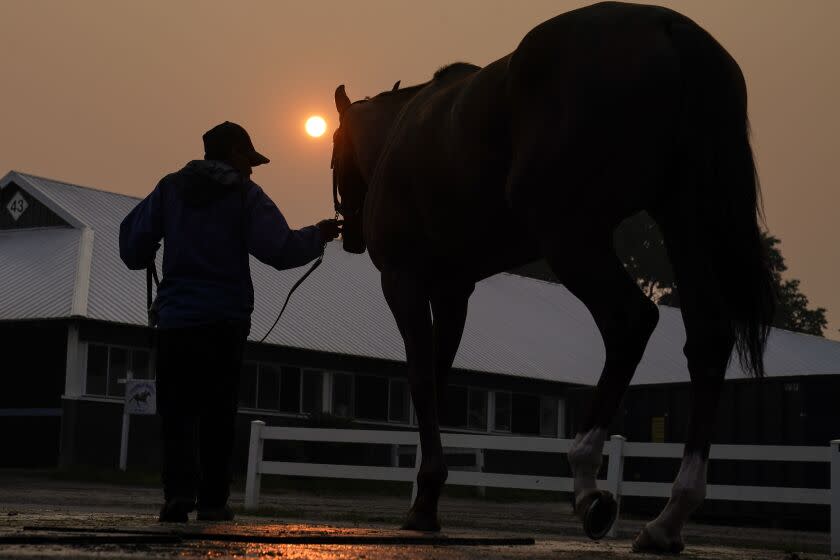 A handler leads a horse back into the stables as the sun is obscured by haze caused by Canadian wildfires ahead of the Belmont Stakes horse race, Thursday, June 8, 2023, at Belmont Park in Elmont, N.Y. Training was cancelled for the day due to poor air quality. (AP Photo/John Minchillo)