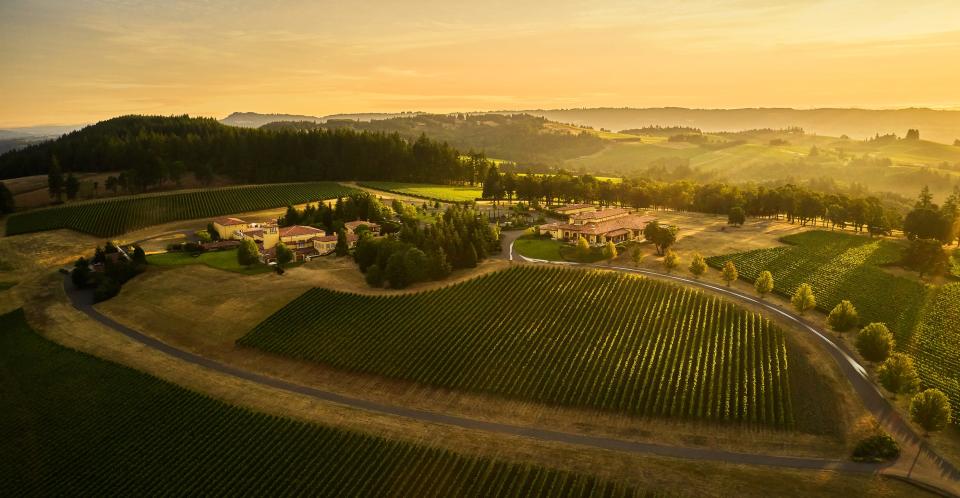 The winning bid of Lot 40 of the 2024 Naples Winter Wine Festival live auction is for two couples to spend six nights in Oregon, including Grace Evenstad’s wine estate, Domaine Serene.