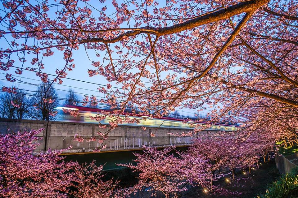 三浦海岸（Image Source : Getty Creative/iStockphoto）