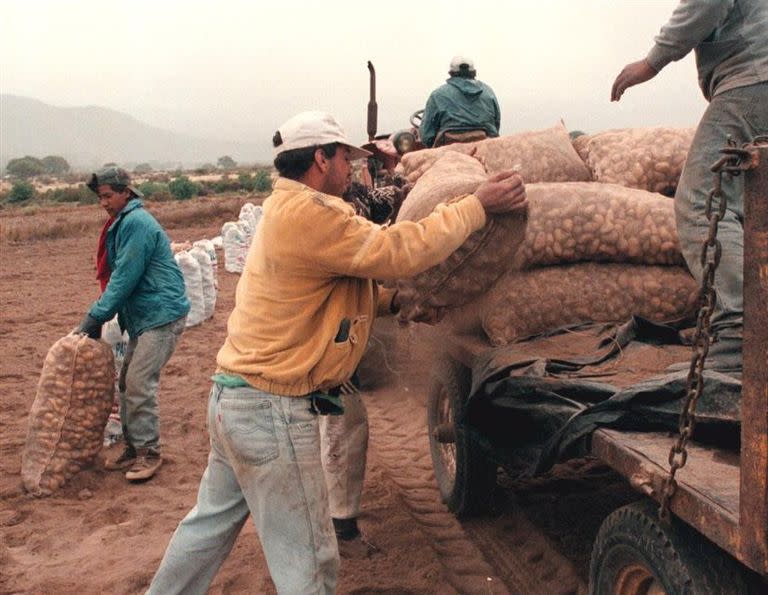 Trabajadores en el Norte, los más afectados por la informalidad