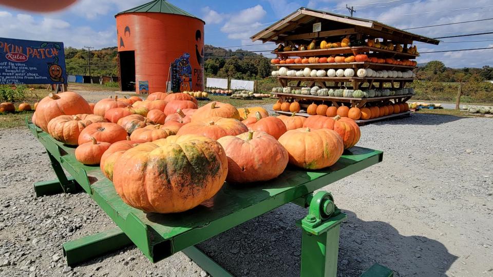 The Nix Pumpkin Patch is located at 3726 Chimney Rock Road and is open through mid-November.