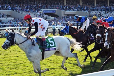 Nov 4, 2017; Del Mar, CA, USA; World Approval (5) wins the ninth race during the 34th Breeders Cup world championships at Del Mar Thoroughbred Club. Mandatory Credit: Jake Roth-USA TODAY Sports