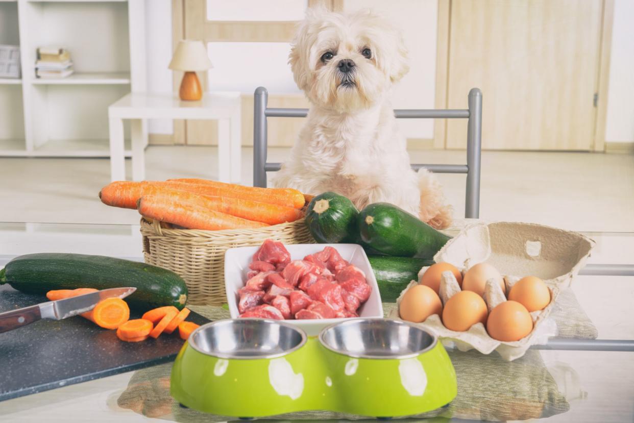 Preparing natural natural, organic food for pets at home