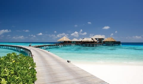 Visitors can explore one of the best house reefs in the North Malé atoll - Credit: No Limit Fotodesign/Klaus Lorke