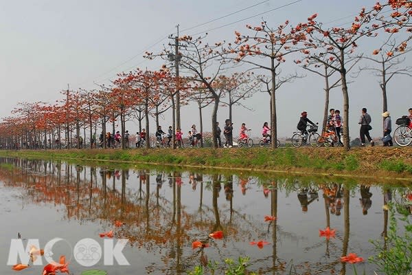 再延棉數百公尺下的木棉花道體驗騎鐵馬及馬拉松奔跑的快感，運動之餘還能欣賞火紅花海美景十分浪漫（圖片提供／台南市觀光旅遊局）