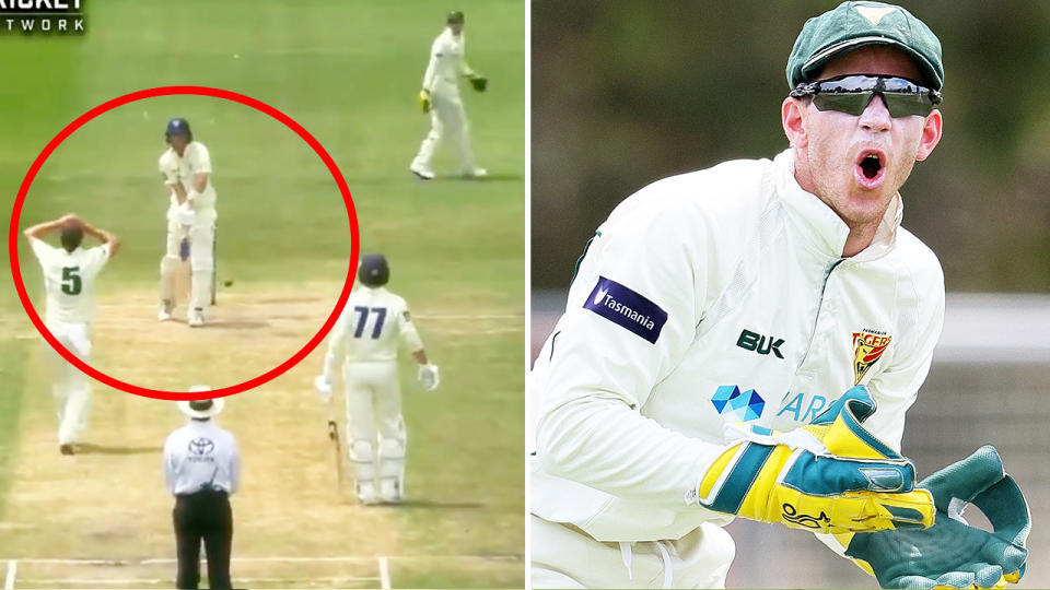 Tim Paine 'stumped' Nick Larkin when he wasn't looking. Image: Cricket Network/Getty