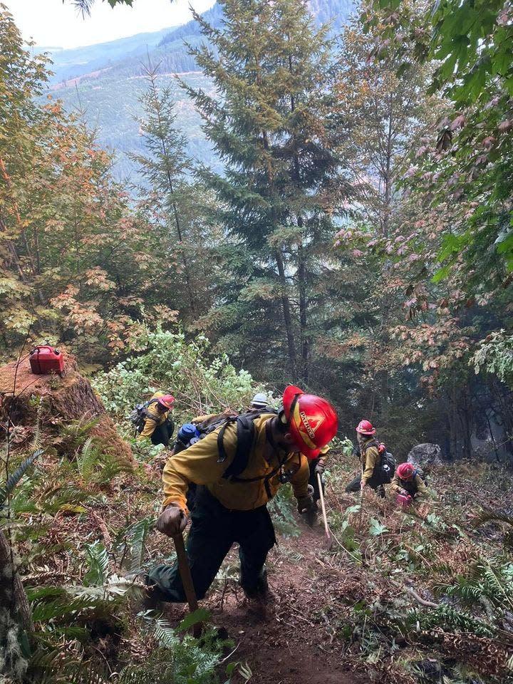 Crews working on the Wiley Fire climb down a 60 or 70% slope. Many of the recent fires in the Willamette National Forest are sitting on steep slopes, making it difficult for firefighters to get access to the areas.