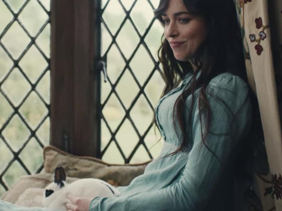 anne with rabbit on her lap in persuasion