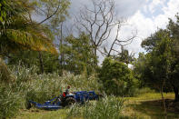 <p>Mark Clawson, 64, mows his macadamia nut orchard beneath trees sickened by volcanic gases on the outskirts of Pahoa during ongoing eruptions of the Kilauea Volcano in Hawaii, June 6, 2018. (Photo: Terray Sylvester/Reuters) </p>