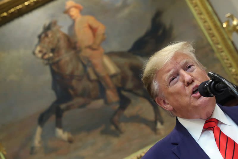 FILE PHOTO: U.S. President Donald Trump speaks in front of a portrait of former president Theodore Roosevelt during an event in the Roosevelt Room of the White House