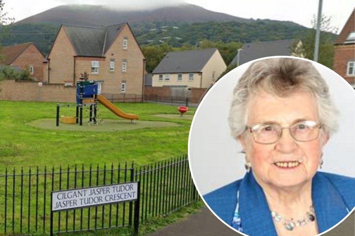 Veteran councillor Maureen Powell criticised objectors opposed to people with learning difficulties moving into a house on this estate. <i>(Image: Google Street View/Monmouthshire County Council.)</i>