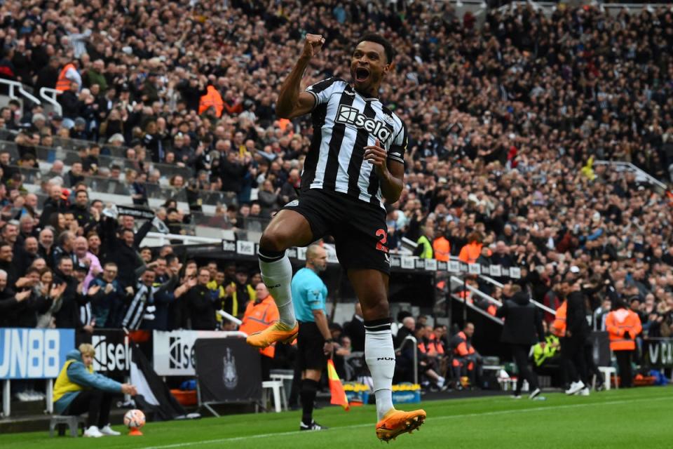 Flying: Newcastle are soaring (AFP)