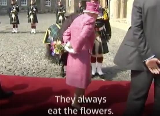 She held the flowers behind her back at she told off the adorable pony. Photo: ITV