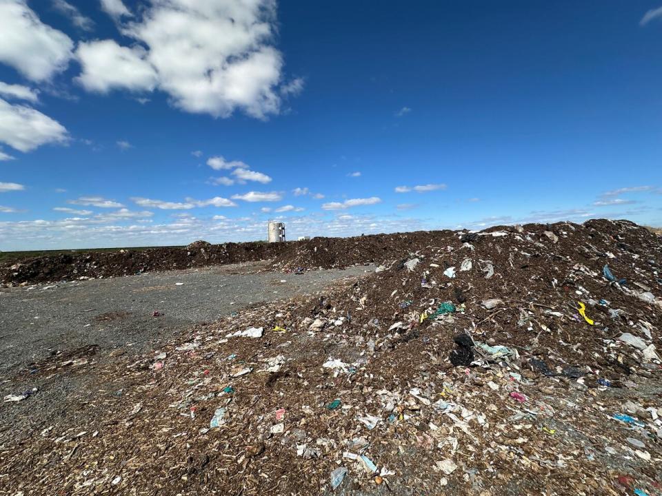 Organic material collected in Yellowknife's green bins end up here, in windrows on a concrete lab at the city's landfill. 