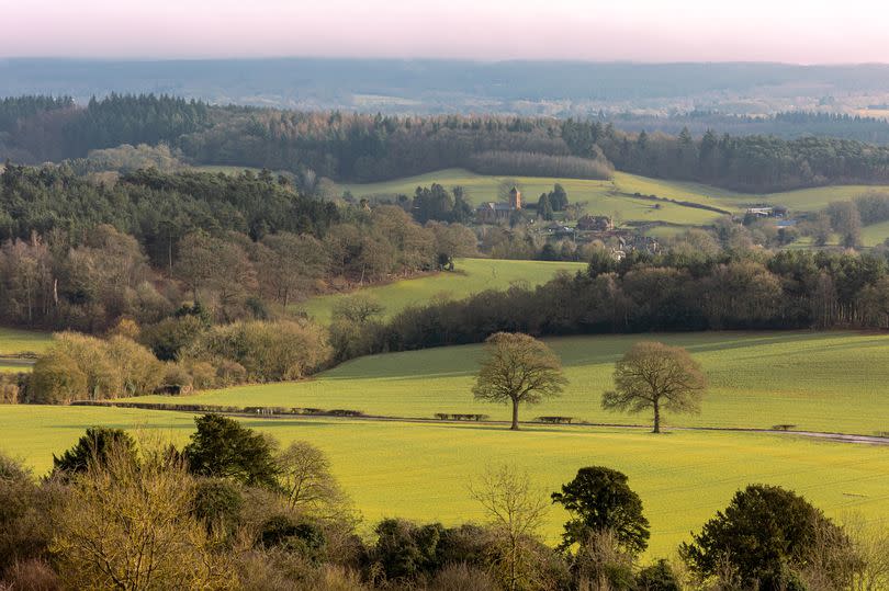 Views of the Surrey Hills from Newlands Corner