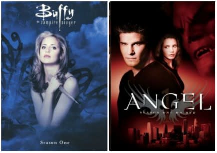 Buffy the Vampire Slayer Spin-Off - Angel