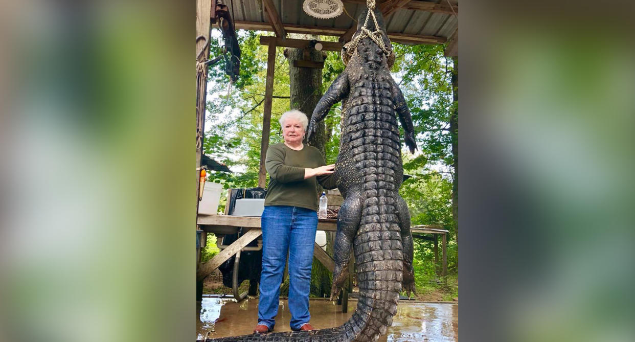 The mayor of Livingston, Texas, was in a meeting when she received a call that the gator had taken the bait on a hook. Source: Scott Hughes/Facebook