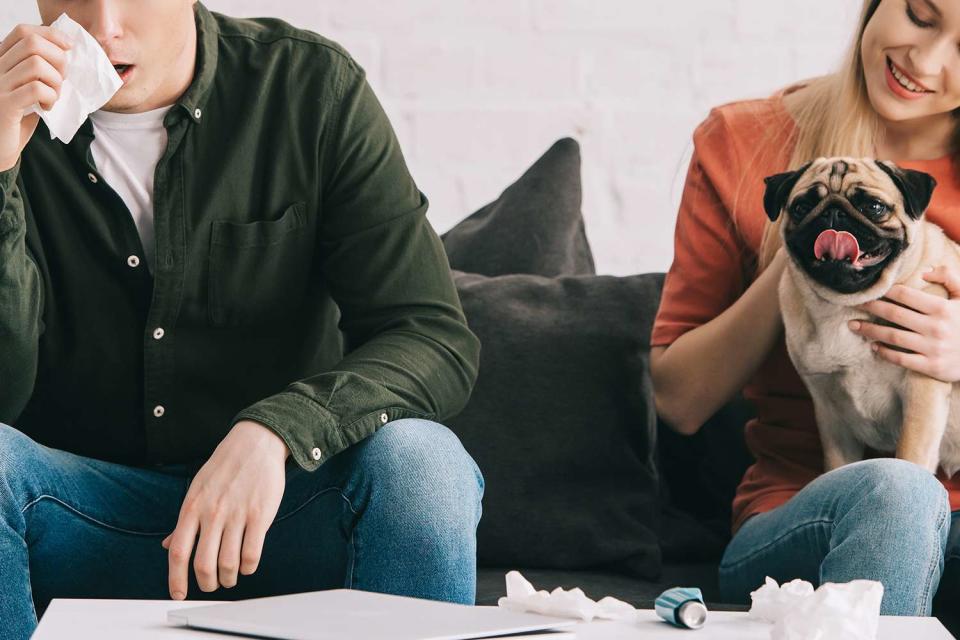 <p>LightFieldStudios/Getty</p> blonde woman holding pug next to man sneezing