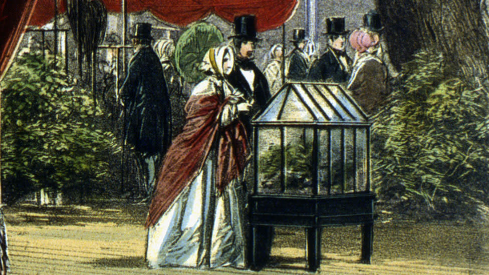 Un hombre y una mujer admiran una caja de Ward en la Gran Exposición, Hyde Park, Londres, 1851.