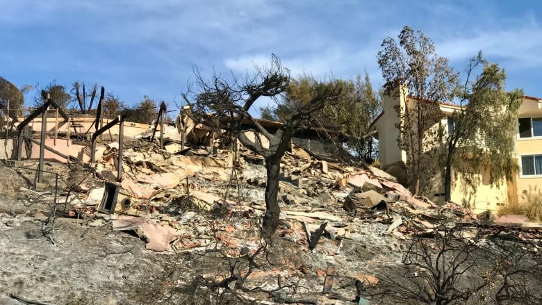 Houses built too close to bush spread huge California fires on 'front line of climate change'