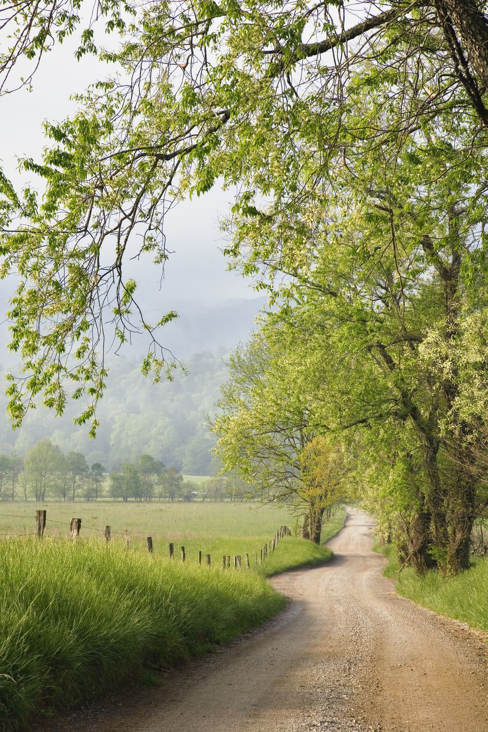 Saulsbury, Tennessee