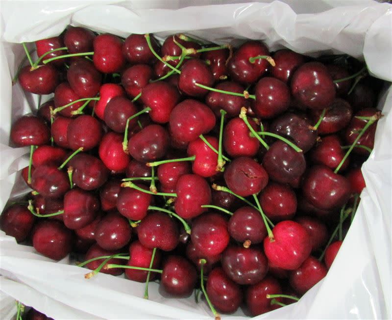 美國2批鮮紅櫻桃檢出農藥滅芬座，近4000公斤全退運。（圖／食藥署提供）