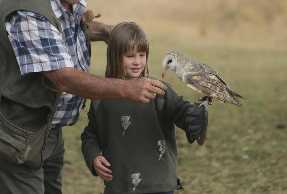 A child interacts with a bird at the bird sanctuary, Kuimba Shiri, near Harare, Zimbabwe, Wednesday, June, 17, 2020. Kuimba Shiri, Zimbabwe's only bird park, has survived tumultuous times, including violent land invasions and a devastating economic collapse. Now the outbreak of COVID-19 is proving a stern test. With Zimbabwe’s inflation currently at more than 750%, tourism establishments are battling a vicious economic downturn worsened by the new coronavirus travel restrictions. (AP Photo/Tsvangirayi Mukwazhi)