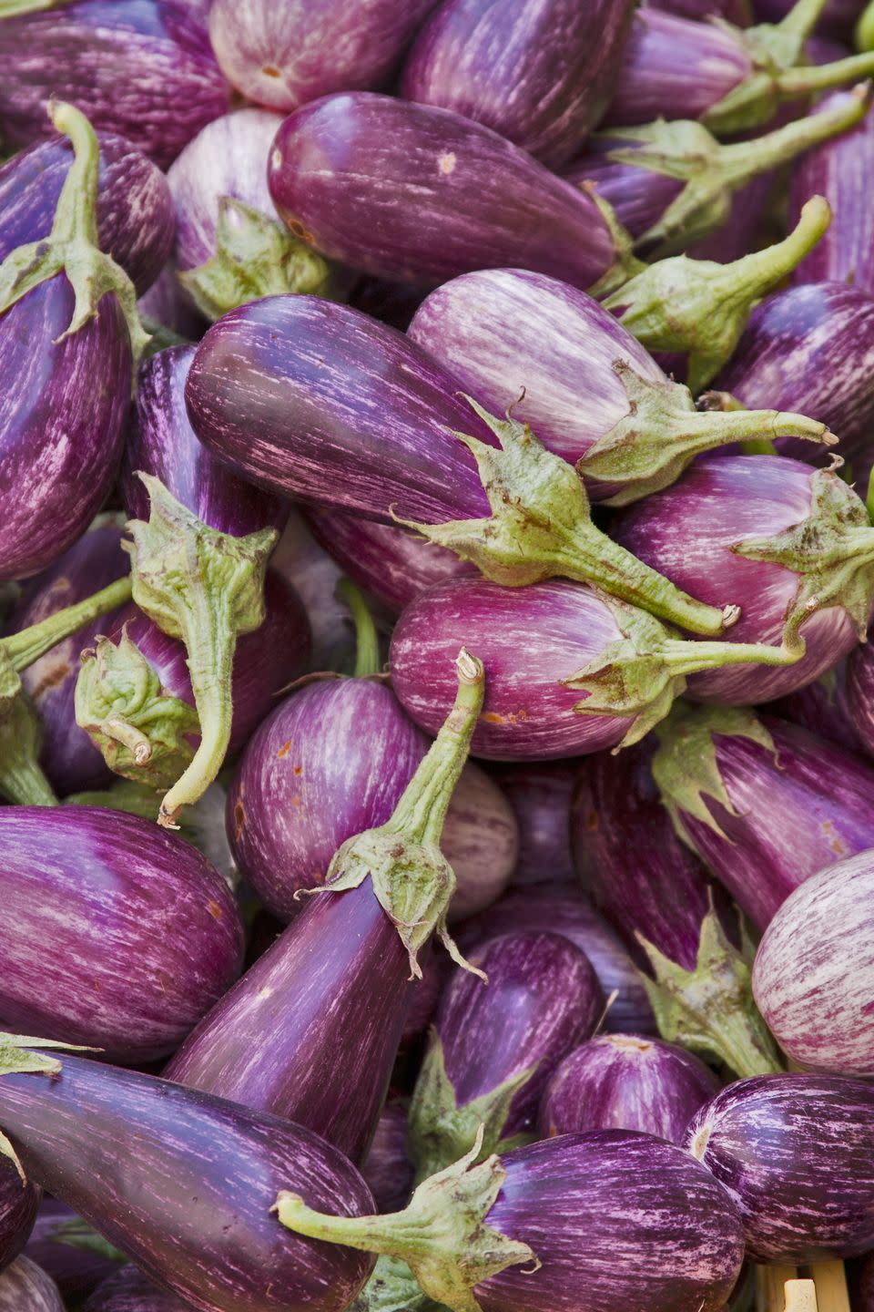 summer vegetables eggplants