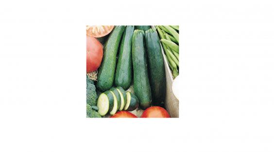 Zucchini (Greenhouse Megastore)