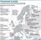 Graphic showing the main countries in Europe that have been affected by the horsemeat for beef scandal