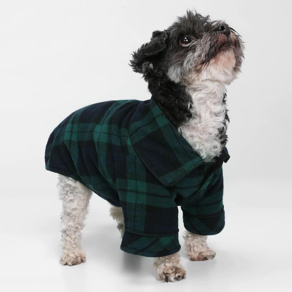 Dog wearing a Dog PJ One-Piece