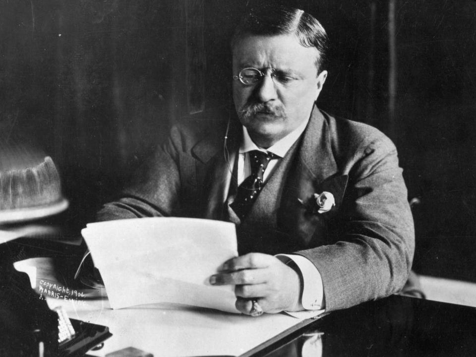 Theodore Roosevelt at work in his study (Getty)