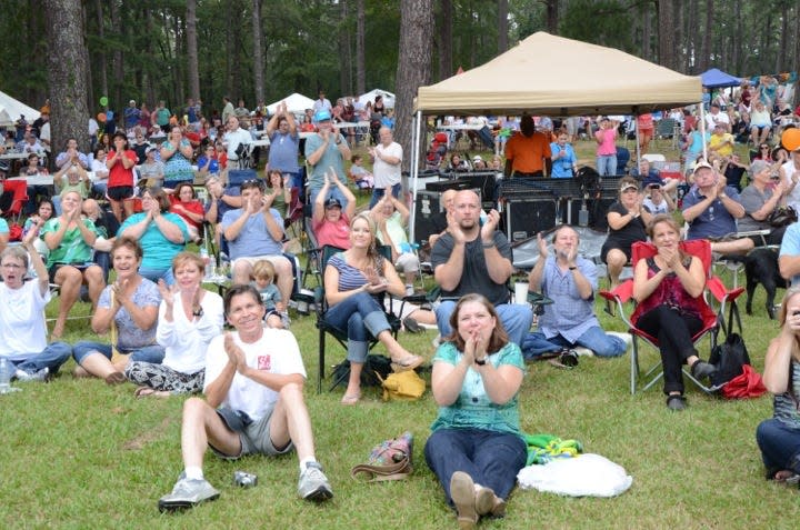 Crowds gather at Boyll Park in Jackson for a day of music and fun at a past WellsFest.