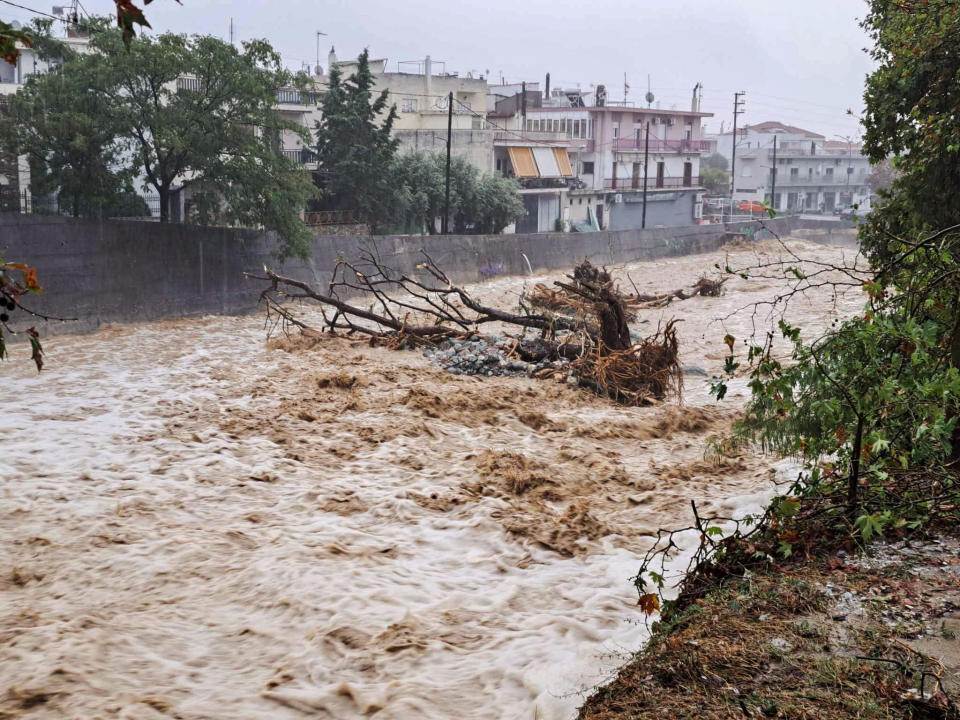 A fallen tree is seen in a flooded river during a storm in the city of Volos, Greece, September 5, 2023.   / Credit: Sevina Dariotou/Eurokinissi via REUTERS