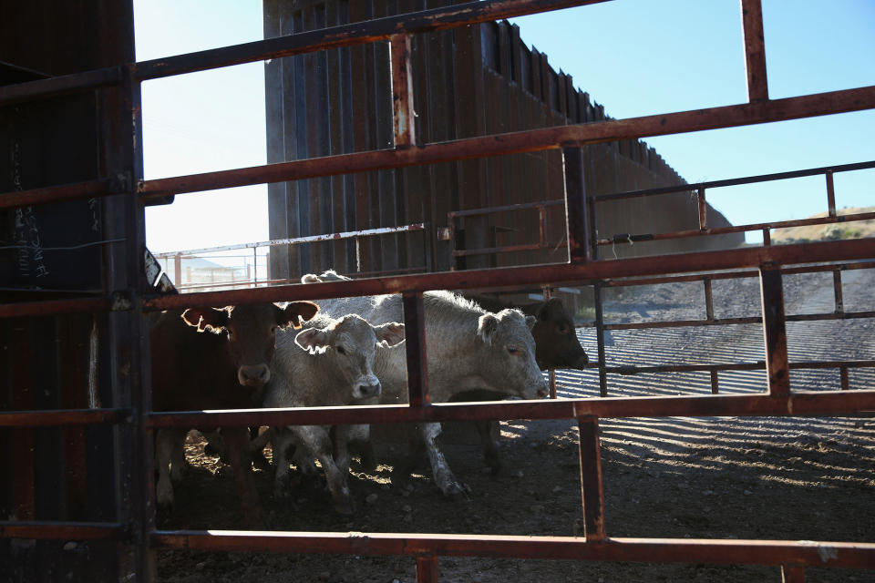 Along the U.S.-Mexico border