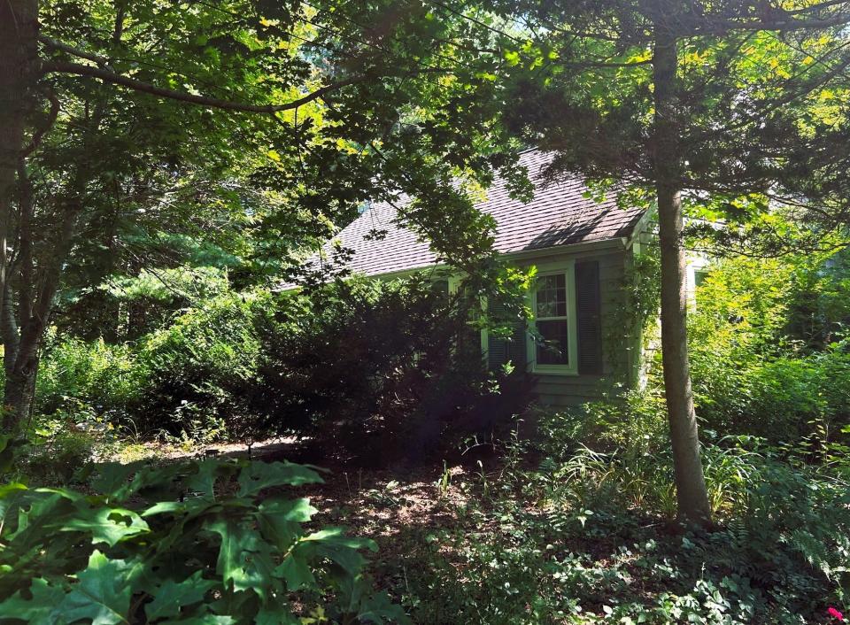 Bob and Saralee’s place before the overhaul. “I know there’s a house back here somewhere,” Bill Shinnick said.